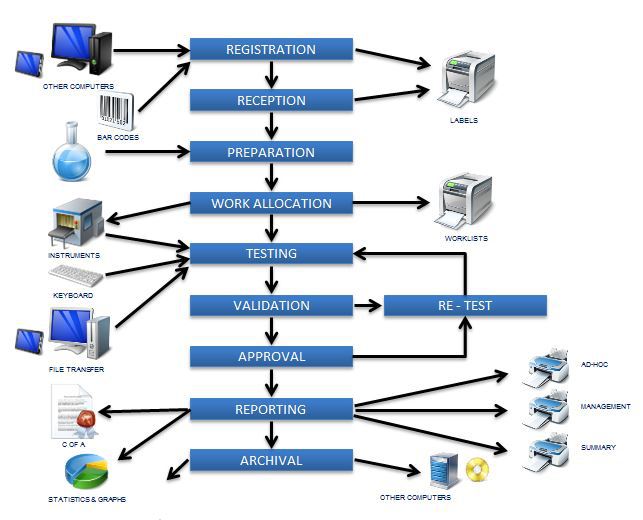 Laboratory Workflow Chart