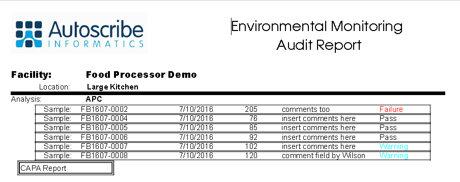 Example Report