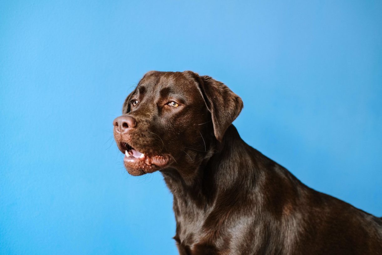 Lucrezia carnelos Wr G l Fojj W4 unsplash 1
