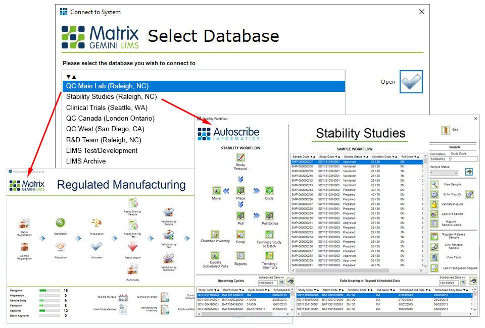 Separating Data Information within a LIMS Autoscribe Informatics