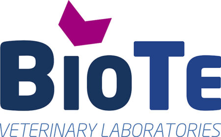 Bio Te Logo2