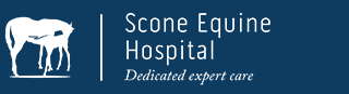 Scone logo blue