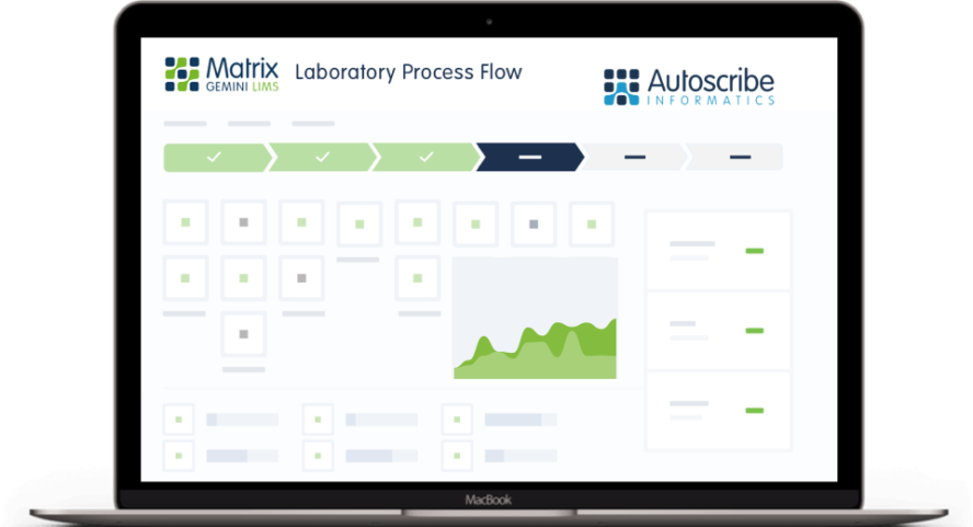 MatrixGeminiLIMSOverview