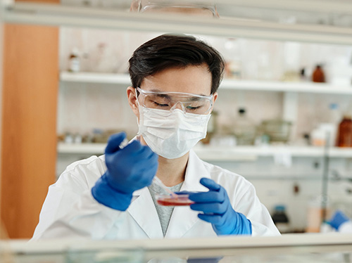 Pexels edward jenner 4033148 no credit required