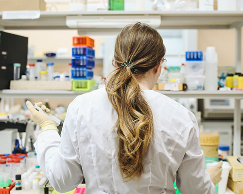 Pexels polina tankilevitch 3735711 no credit required